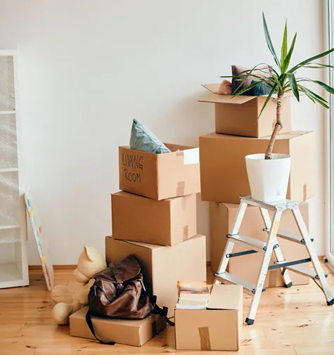How Much Does a Removalist Cost in Goodwood?