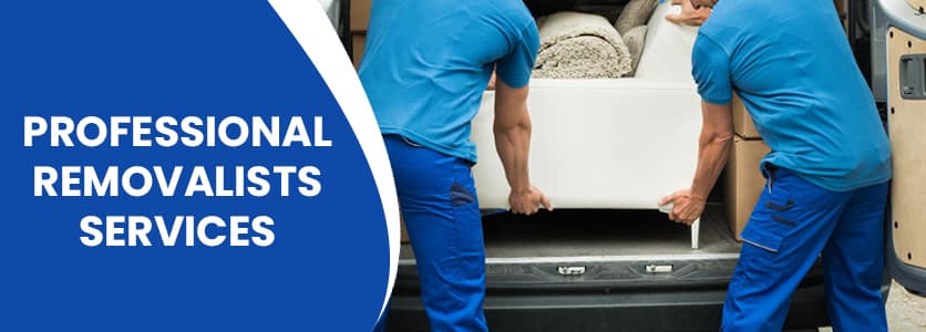 Professional Removalists