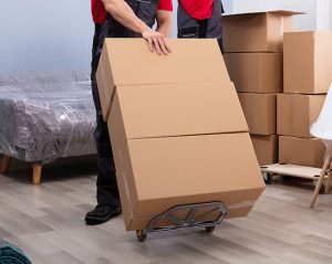 Furniture Removalists