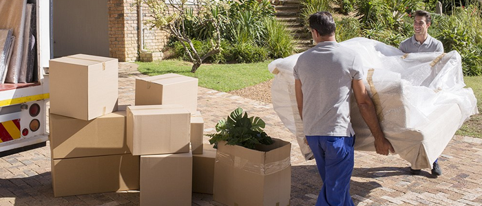 Interstate Furniture Removalists