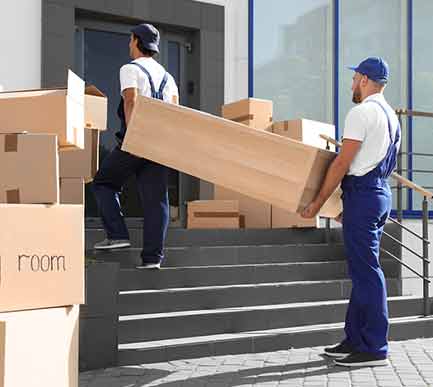 Make Hiring Removal Experts Essential