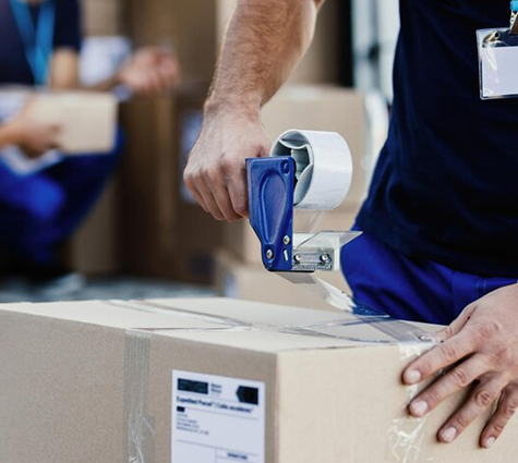 Local Professional Removalists In Brentwood