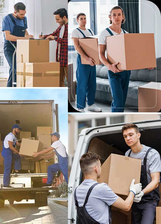 Protective Process In Waiting For Your Removals